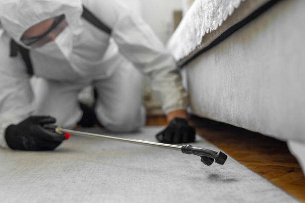 Professional Ant Control technician working in Munford, AL