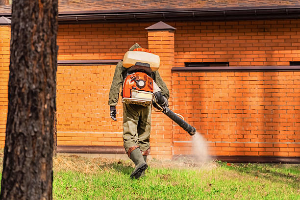 Trusted Rodent Control service in Munford, AL - Nex Pest Control